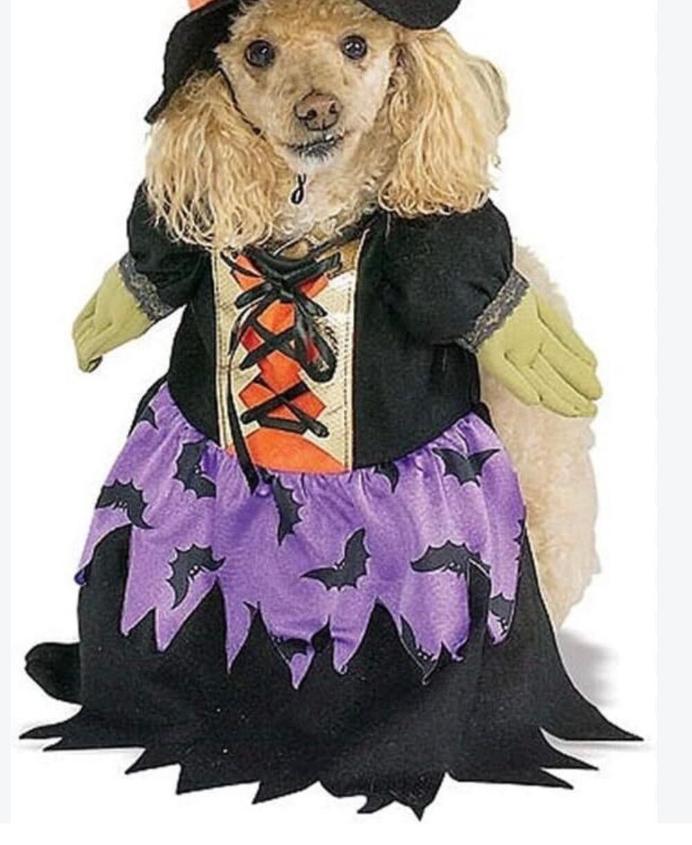 Rubie's Bewitched Witch Black Purple Cute Dress Up Halloween Pet Dog Costume SzS